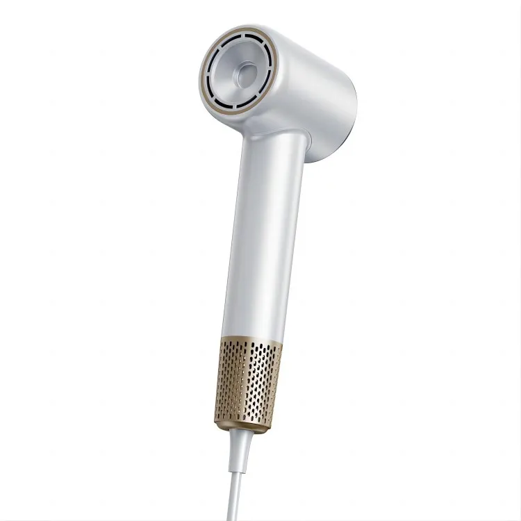 Profesionalni personalizirani fen za kosu